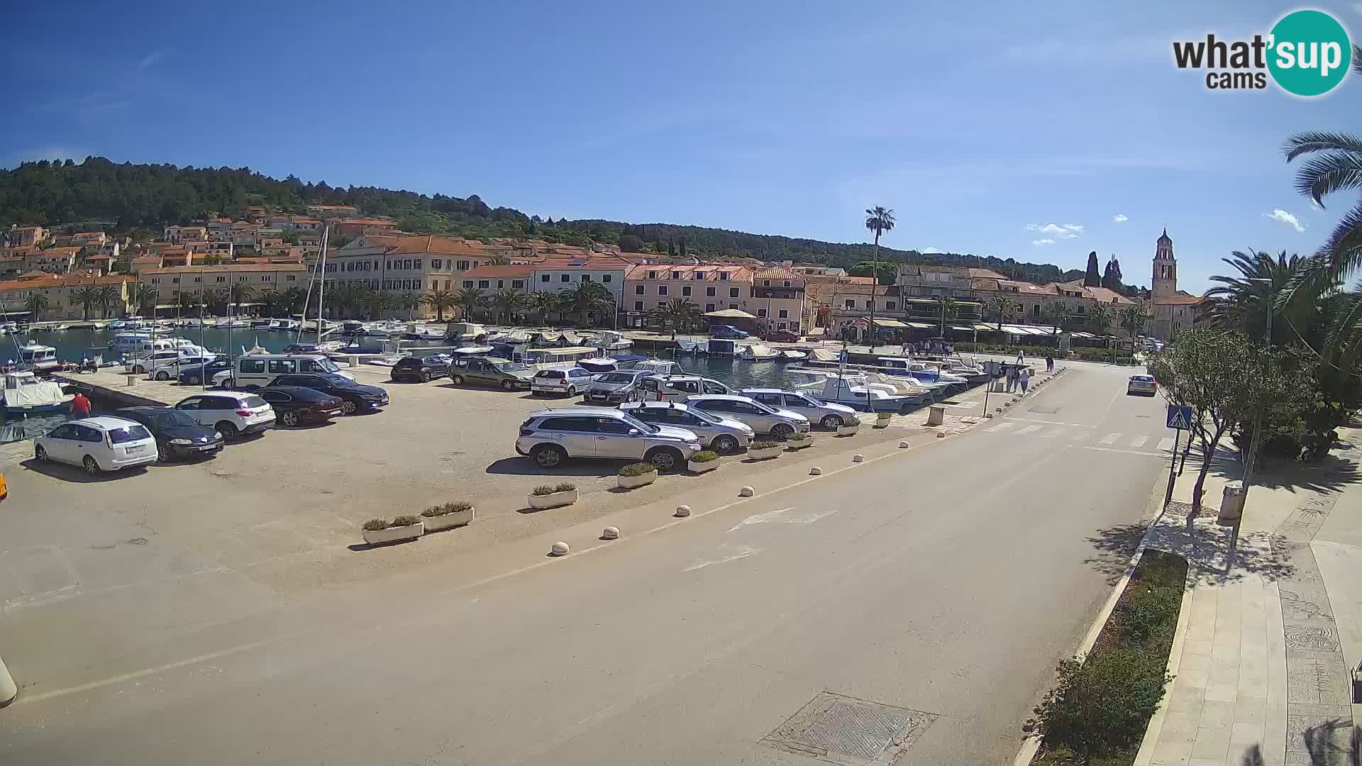 Vela Luka – Korčula – Webcam Live