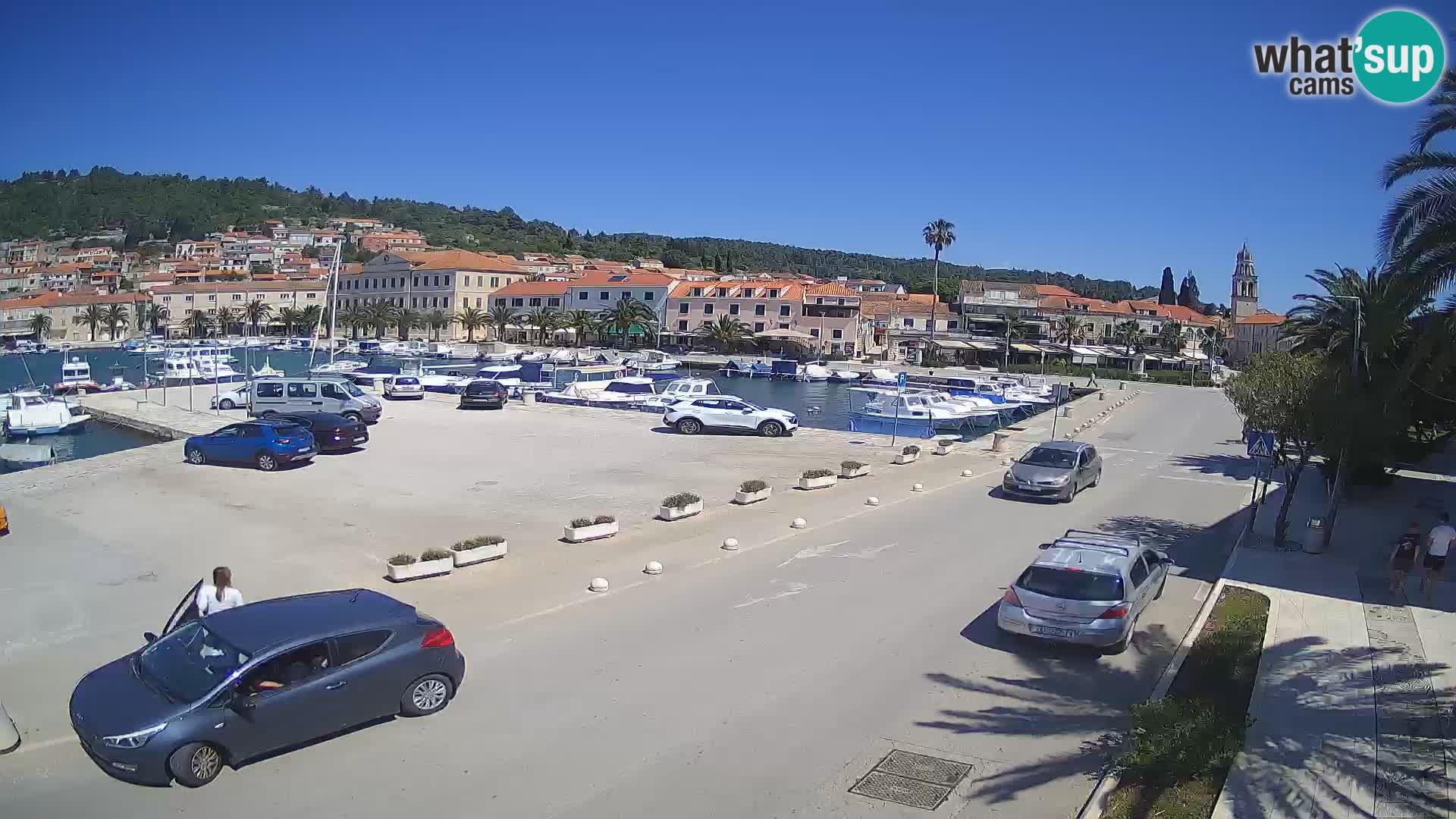 Vela Luka – Korčula