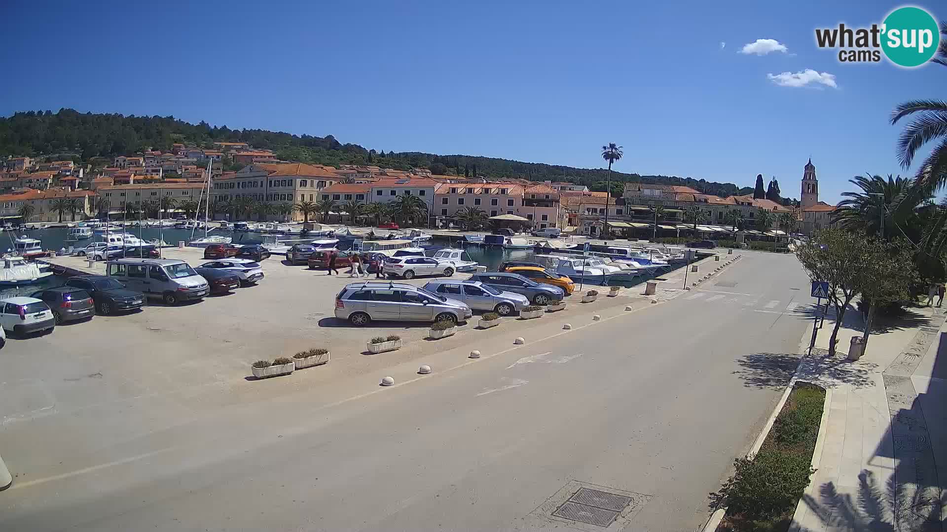 Vela Luka – Korčula