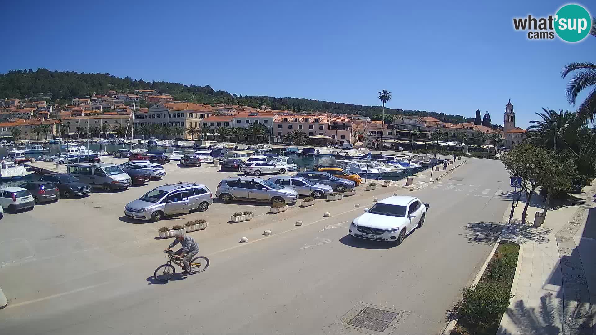 Vellagrande – Curzola