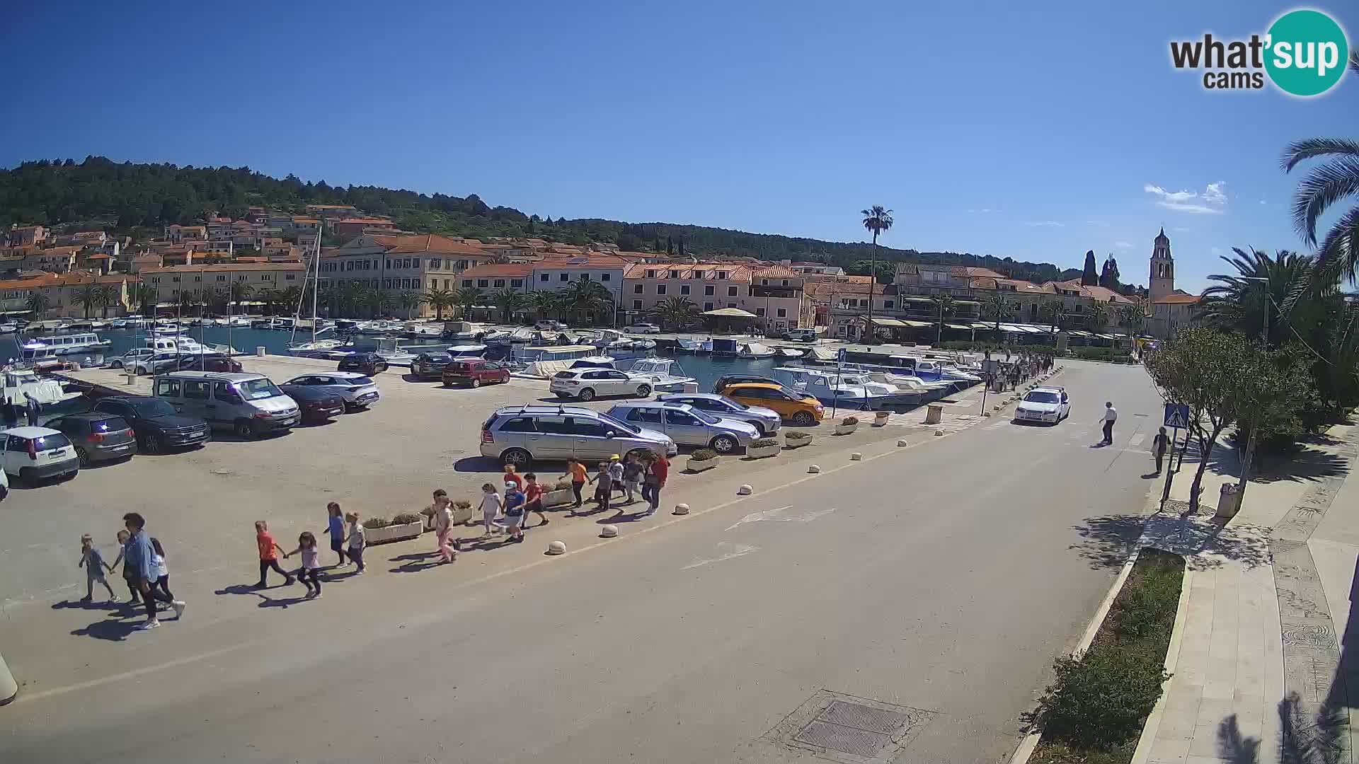 Vela Luka – Korčula