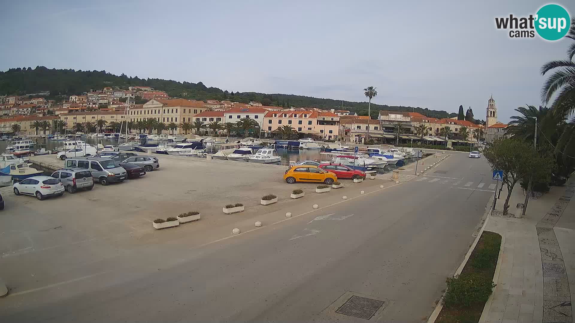 Vela Luka – Korčula – Webcam Live