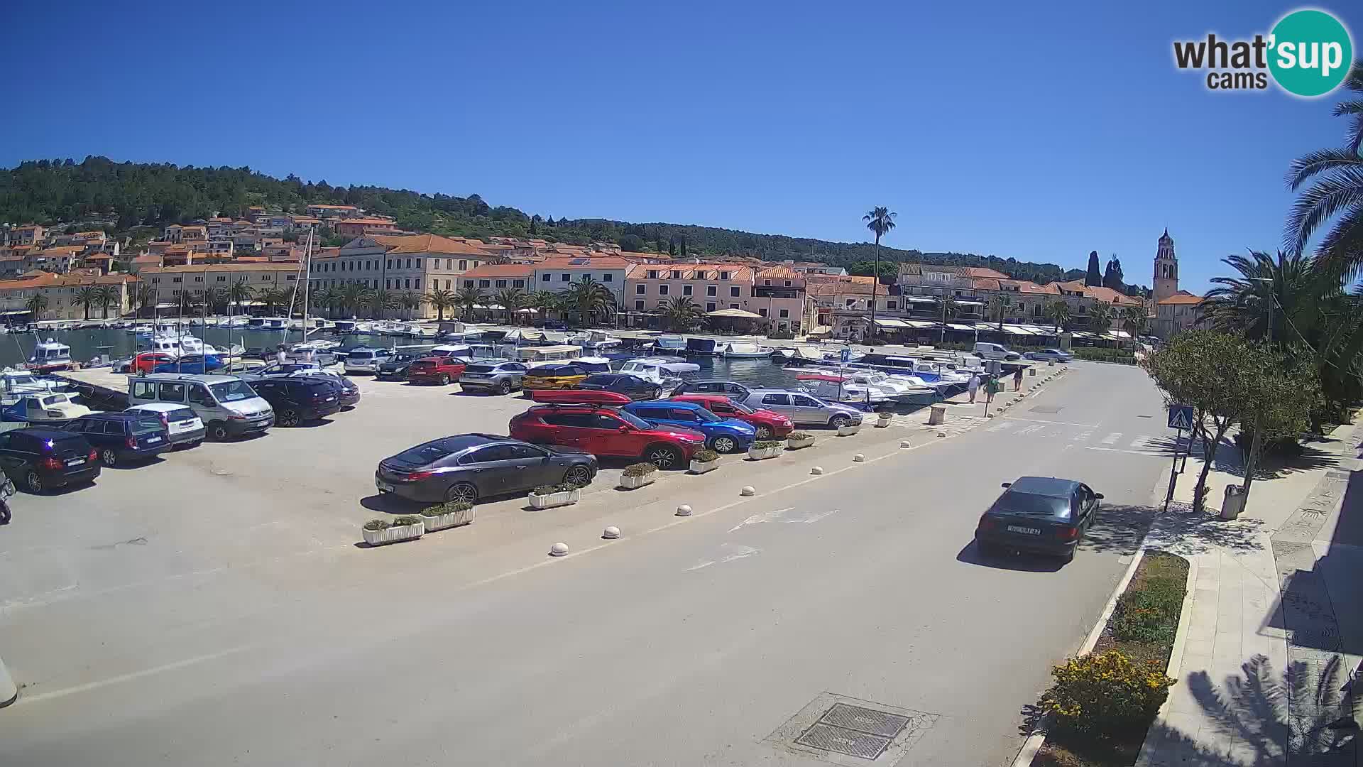 Vela Luka – Korčula – Webcam Live