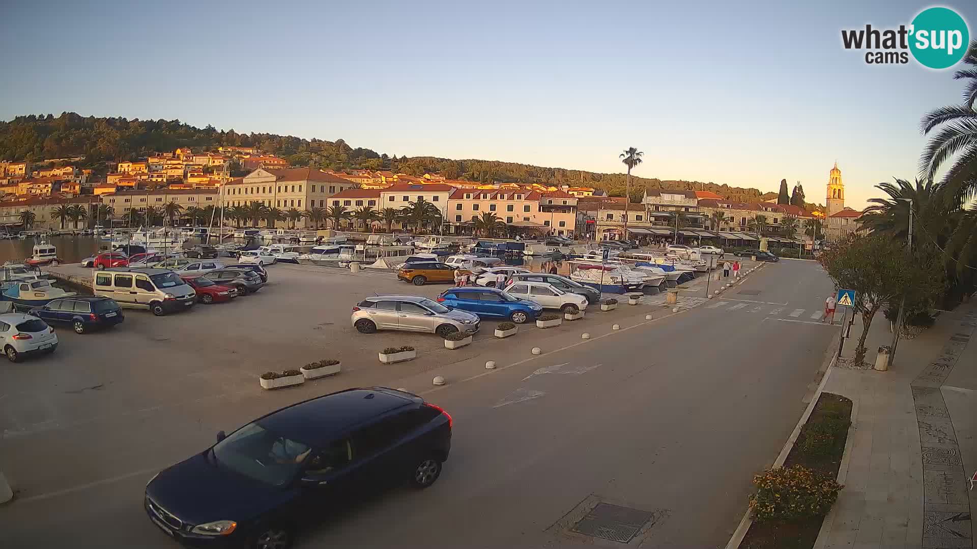Vela Luka – Korčula – Webcam Live