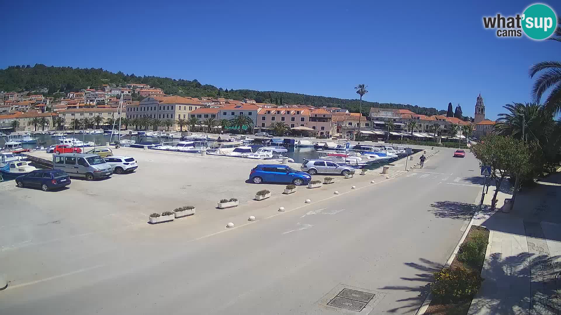 Vela Luka – Korčula – Webcam Live