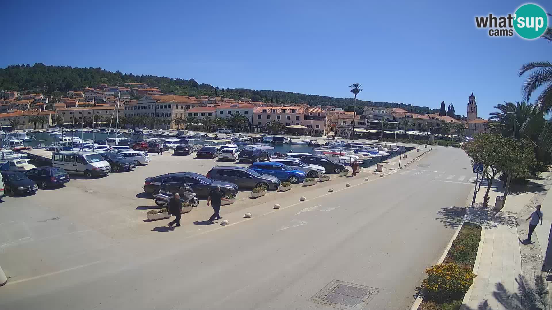 Vela Luka – Korčula