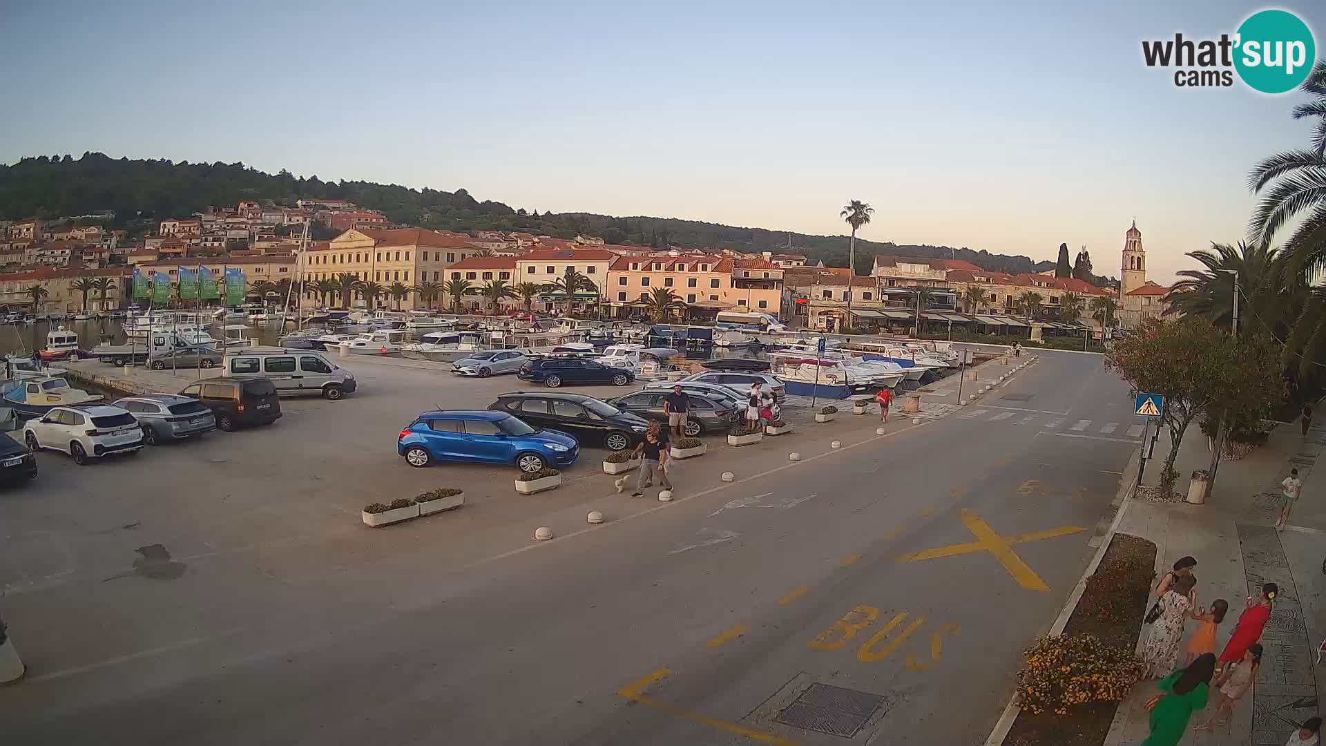 Vela Luka – Korčula – Webcam Live