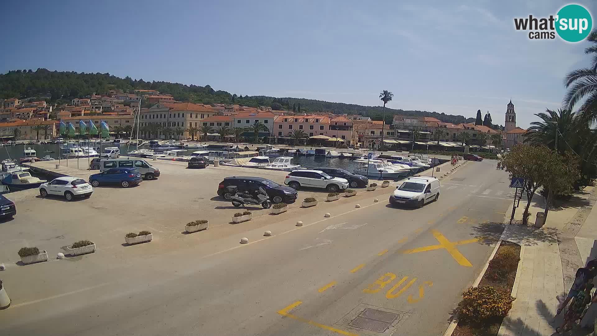 Vela Luka – Korčula