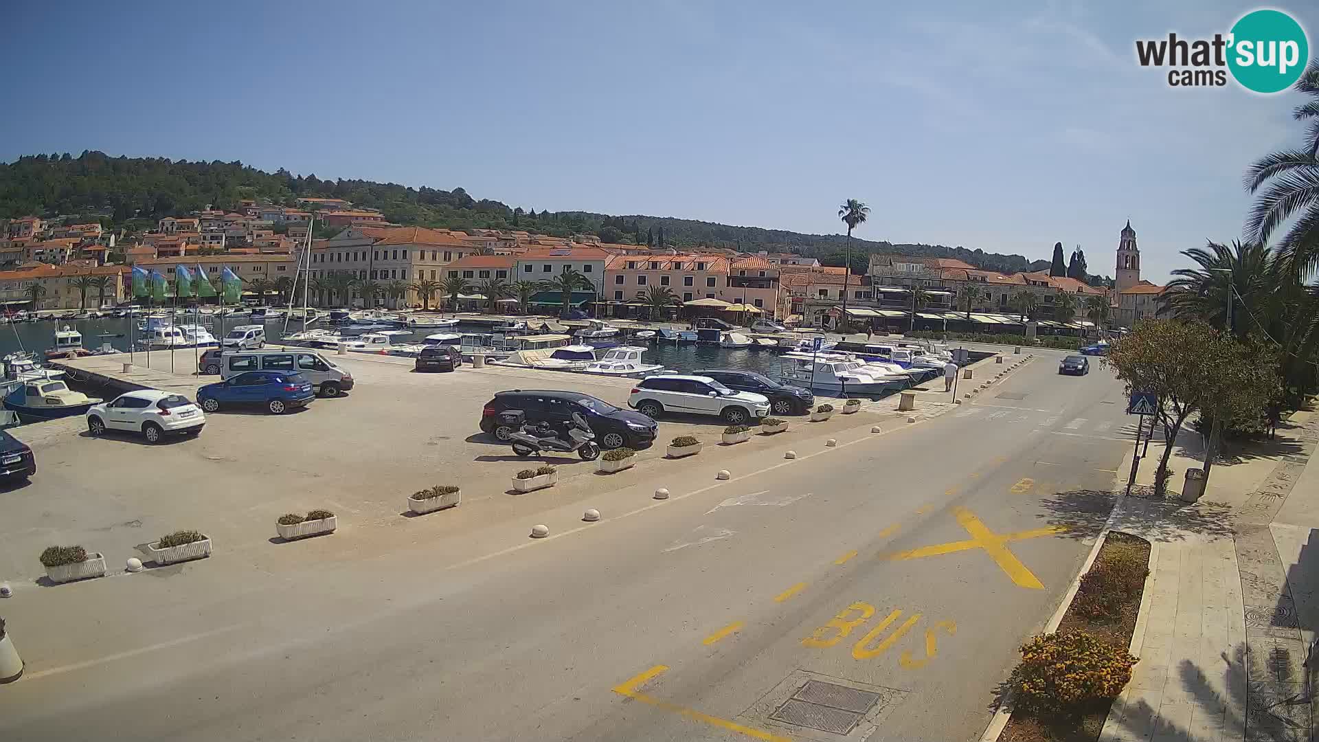 Vela Luka – Korčula