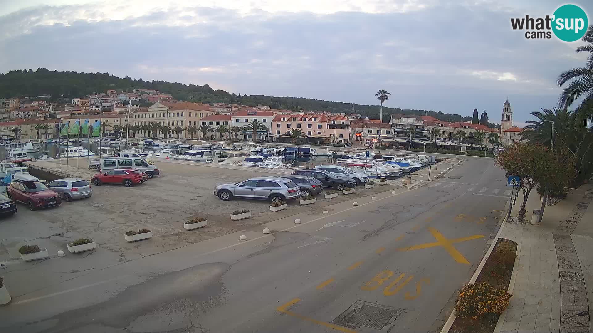 Vela Luka – Korčula
