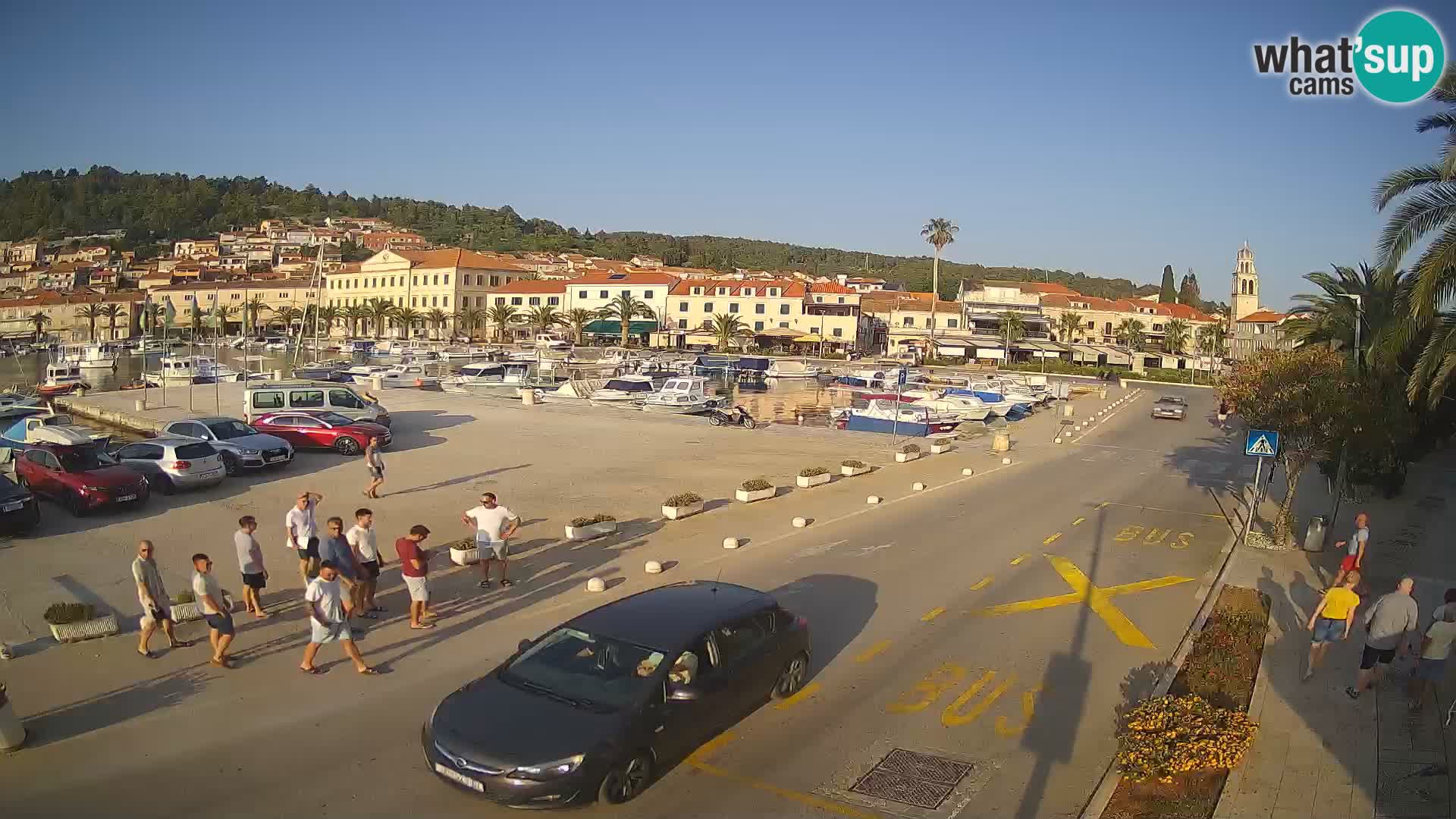 Vela Luka – Korčula