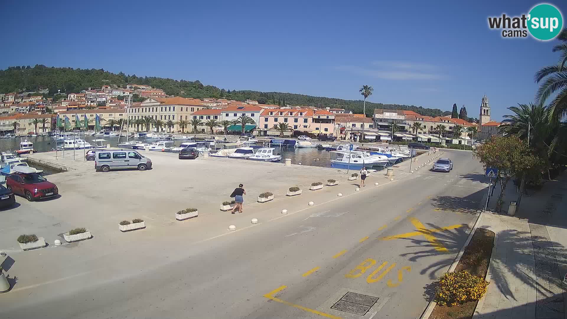 Vela Luka – Korčula