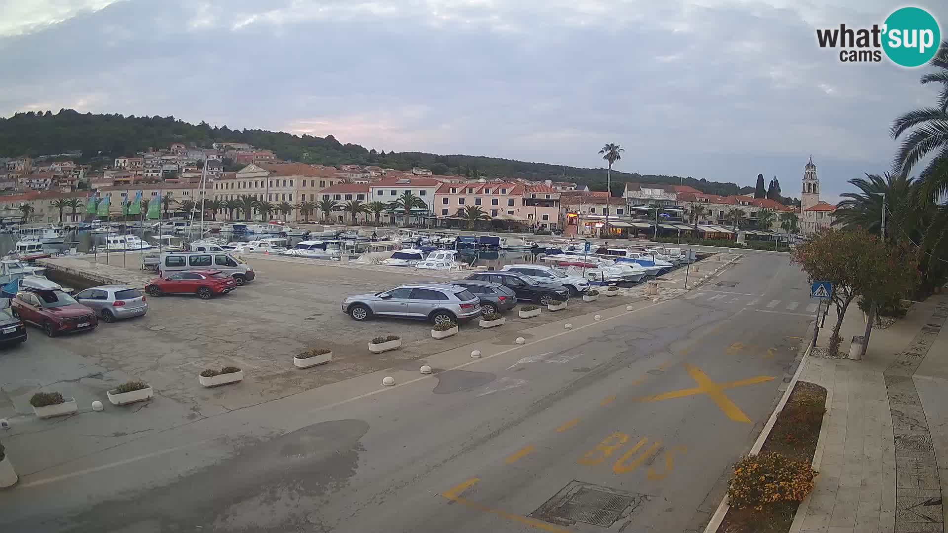 Vela Luka – Korčula