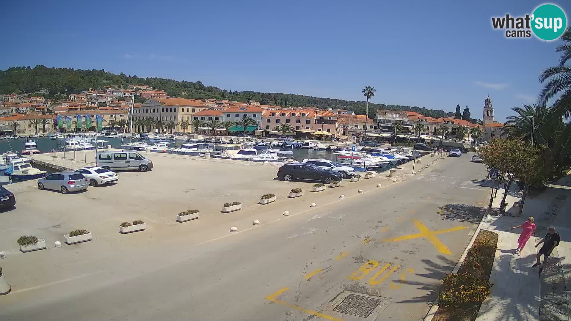 Vela Luka – Korčula – Webcam Live