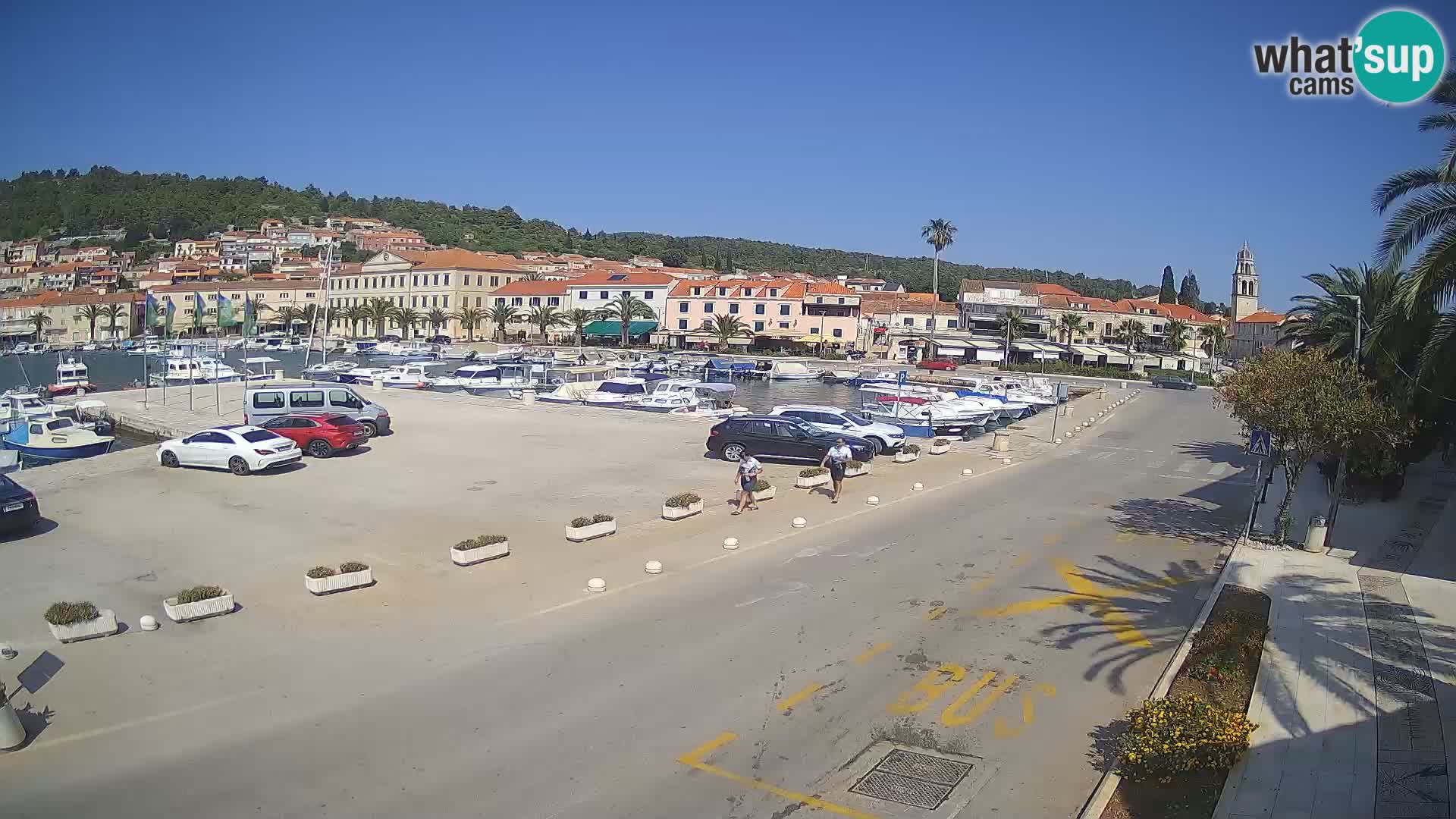 Vela Luka – Korčula