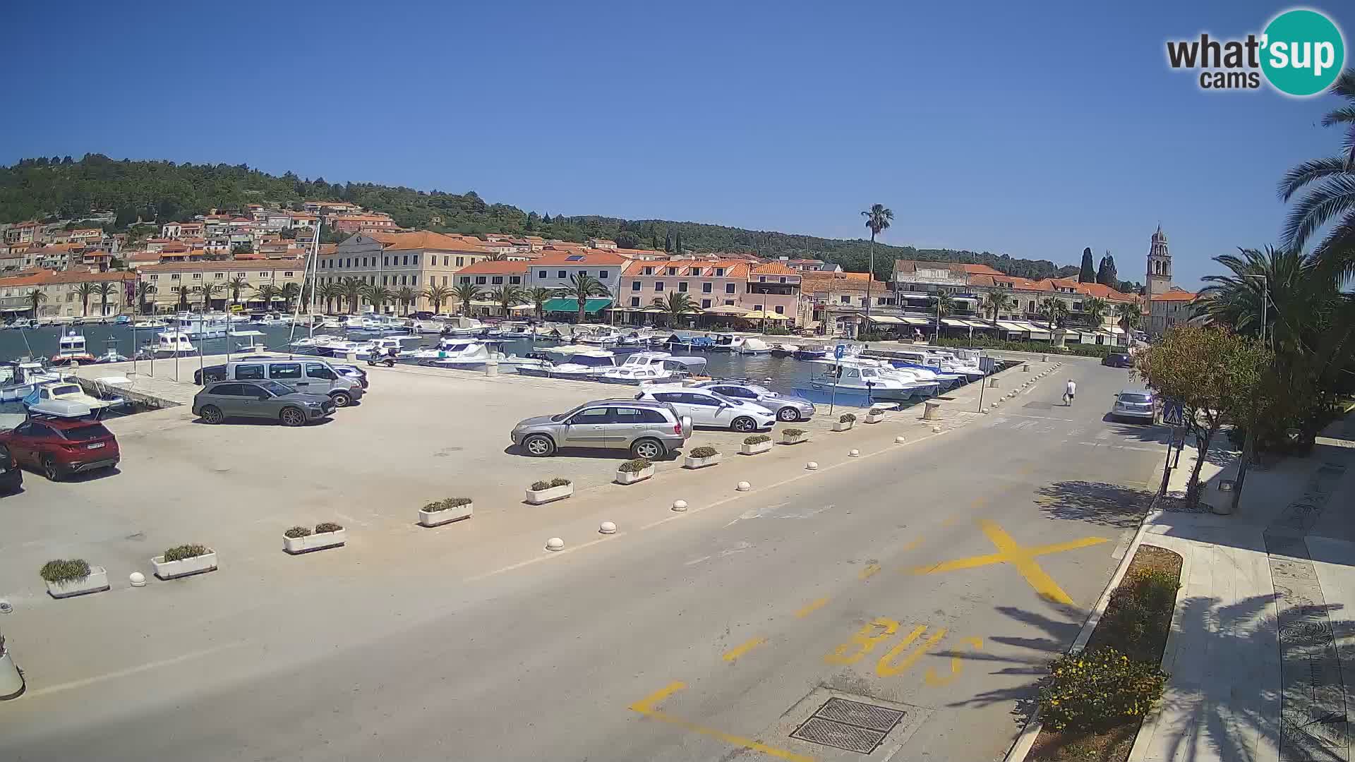 Vela Luka – Korčula – Webcam Live