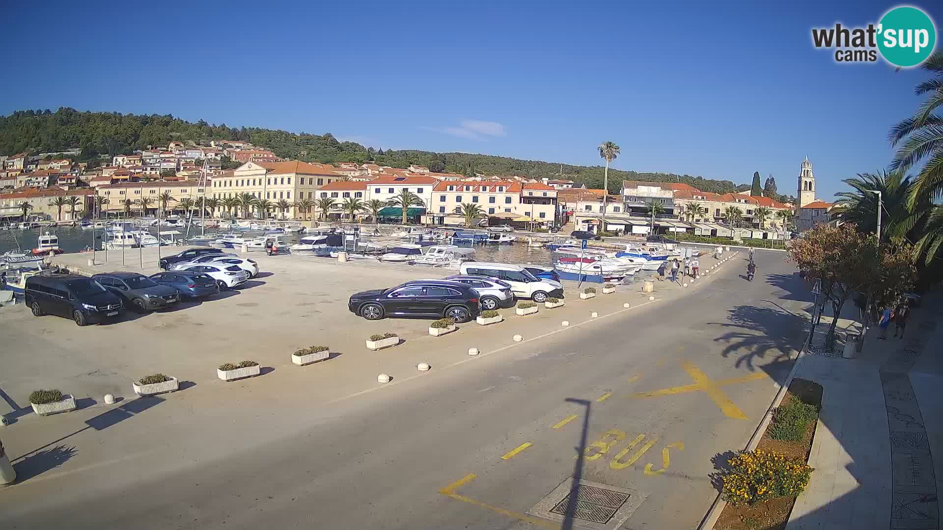 Vela Luka – Korčula