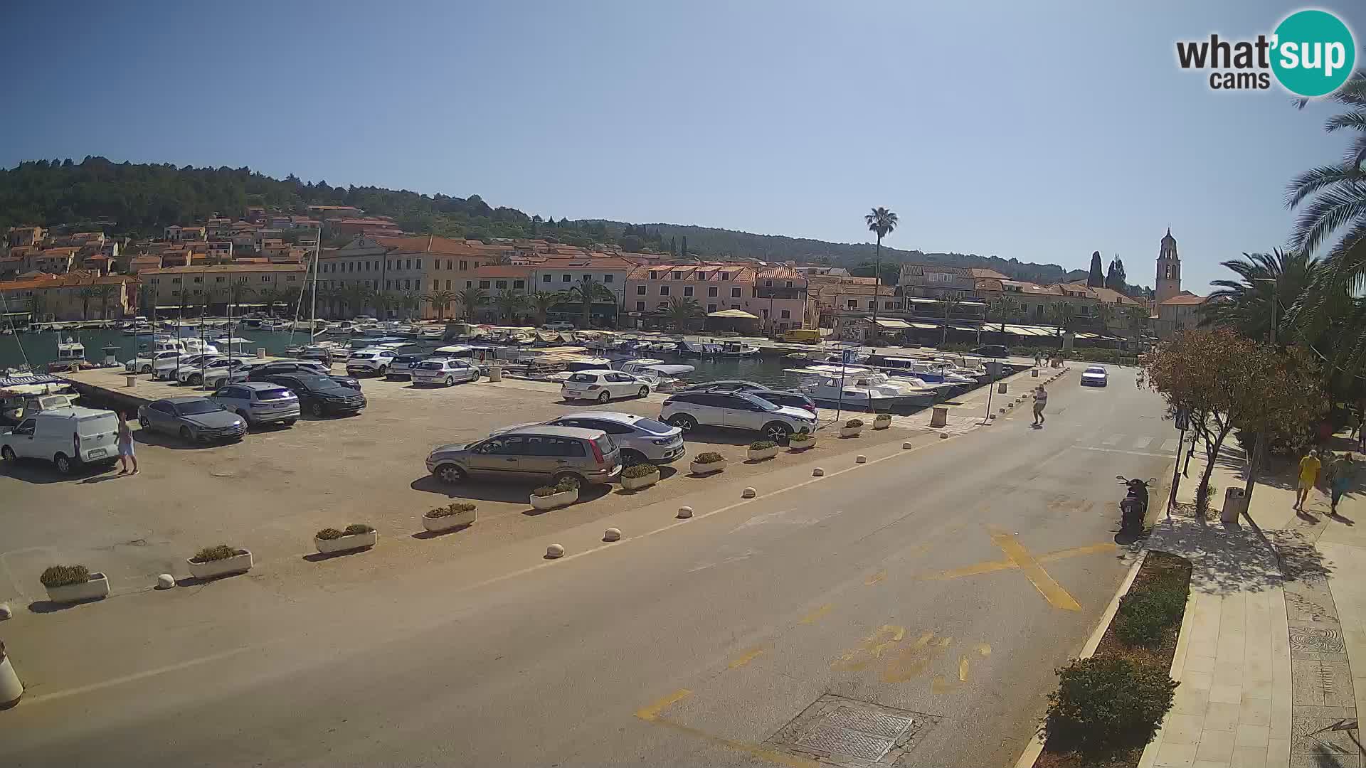 Vela Luka – Korčula – Webcam Live