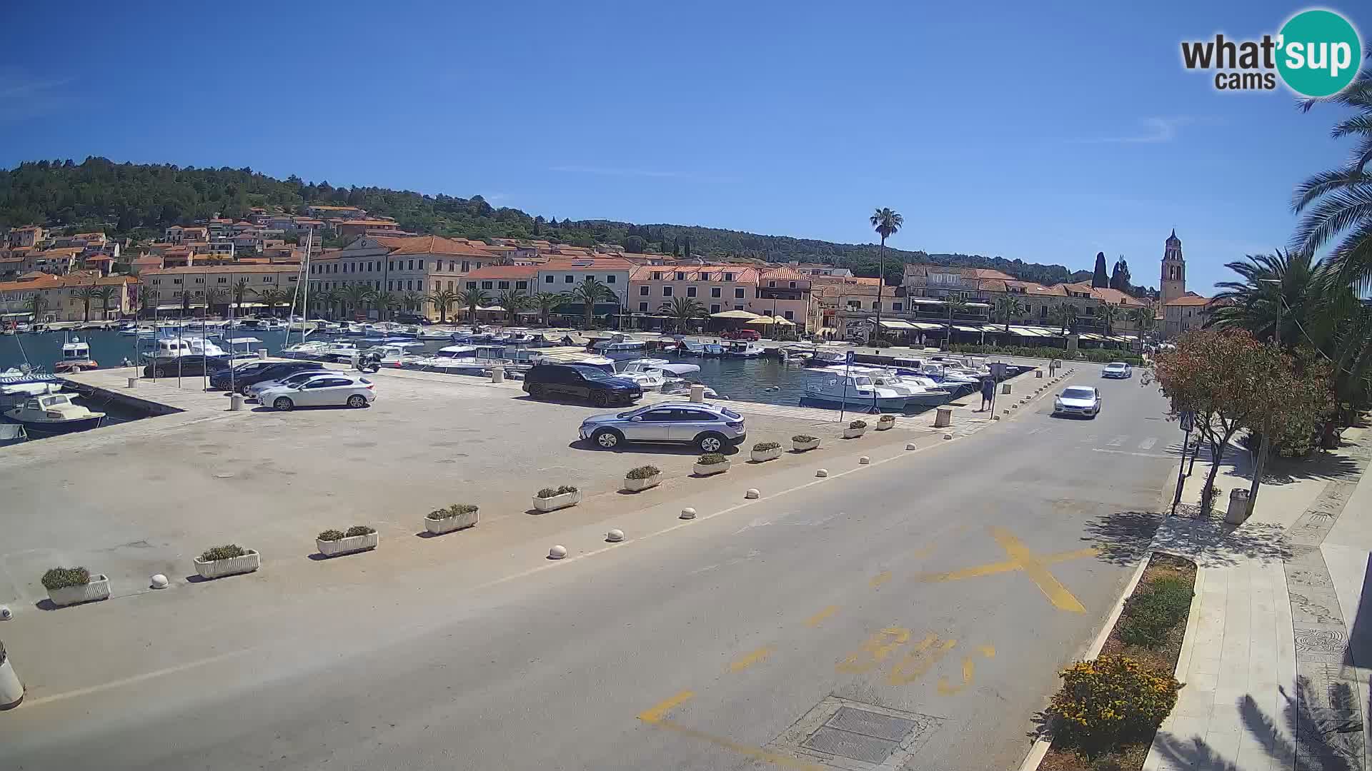 Vela Luka – Korčula