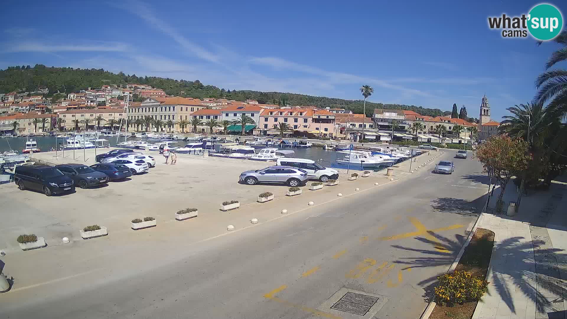 Vela Luka – Korčula – Webcam Live