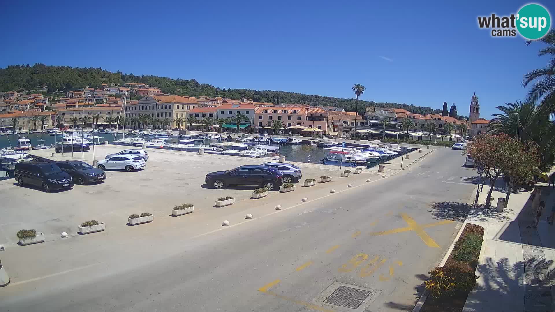 Vela Luka – Korčula