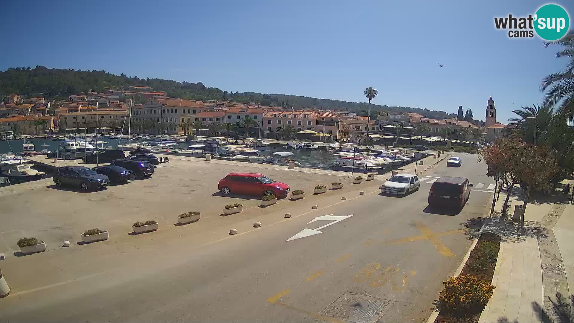 Vela Luka – Korčula – Webcam Live