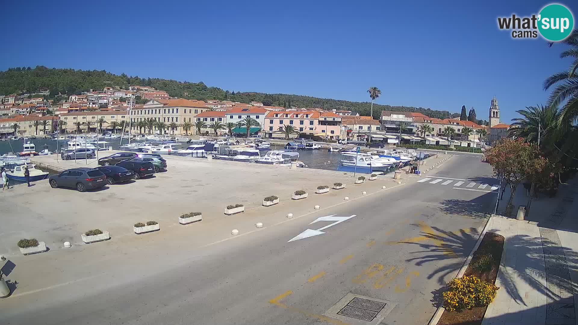 Vela Luka – Korčula