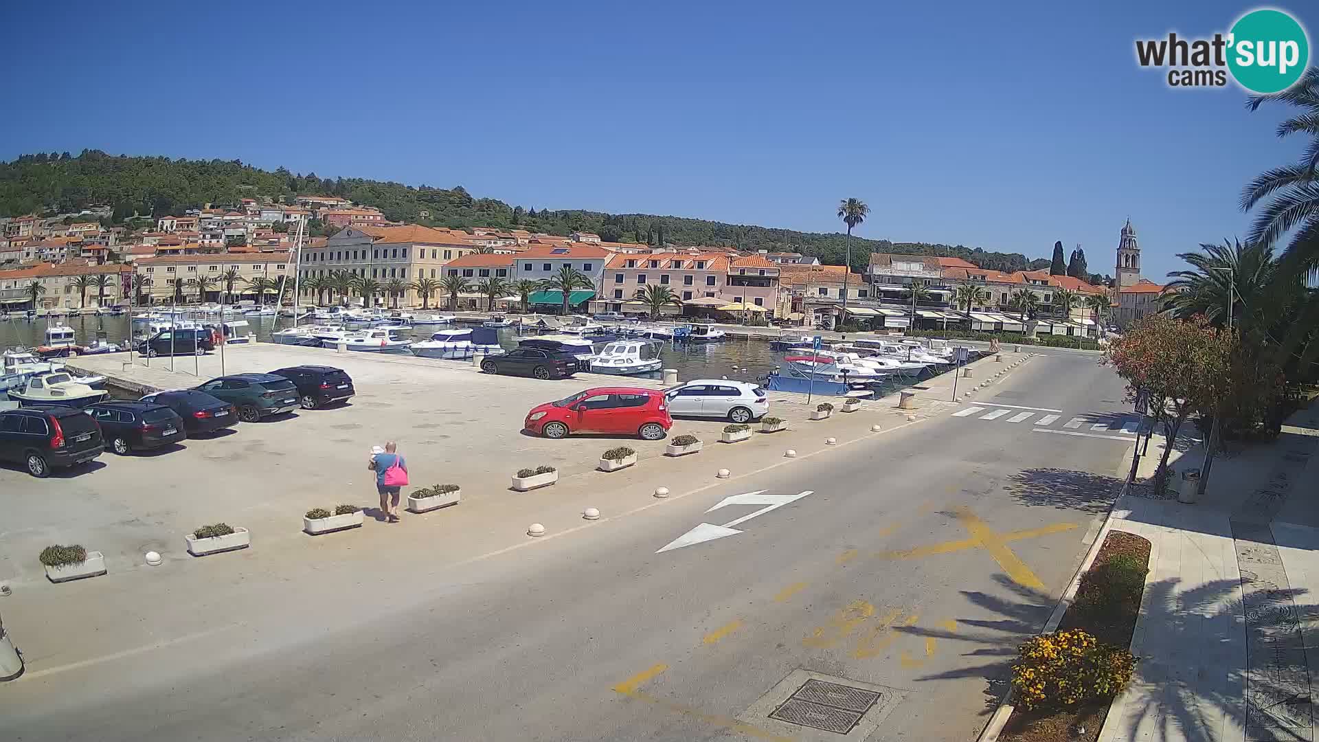 Vela Luka – Korčula