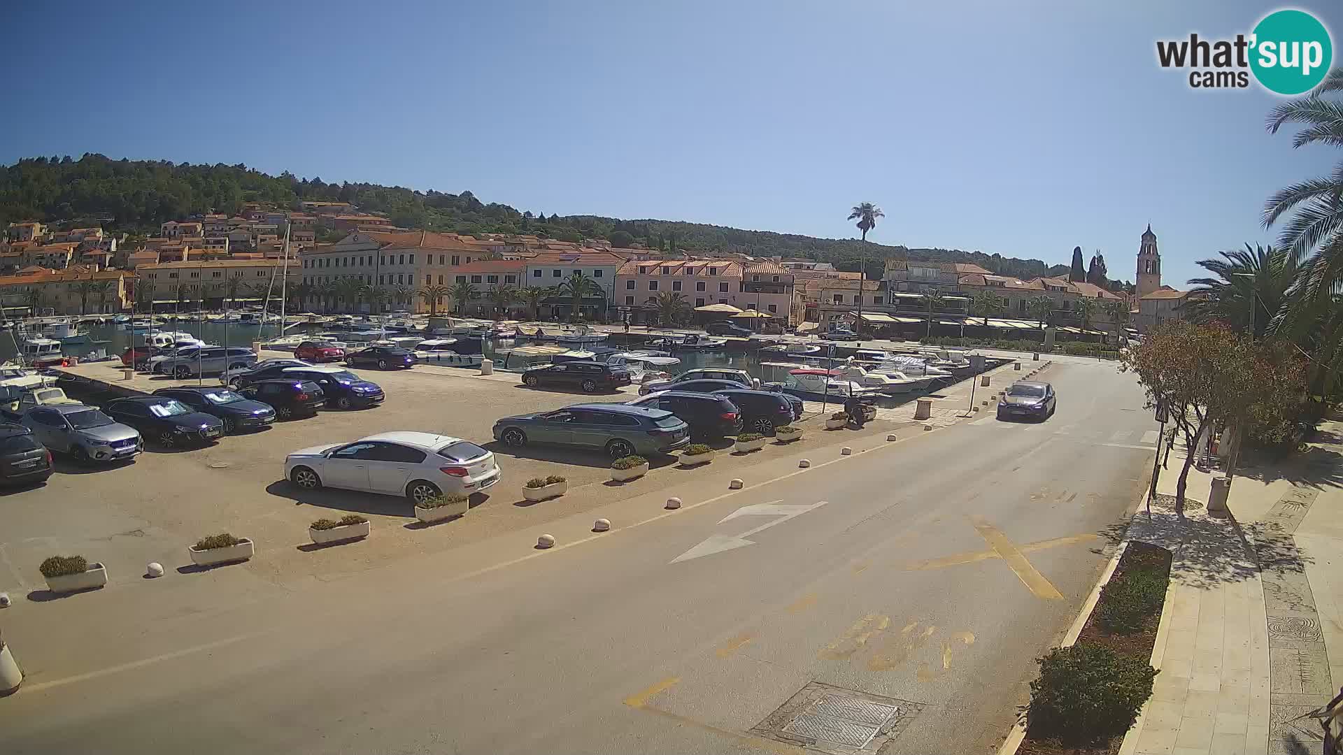 Vela Luka – Korčula