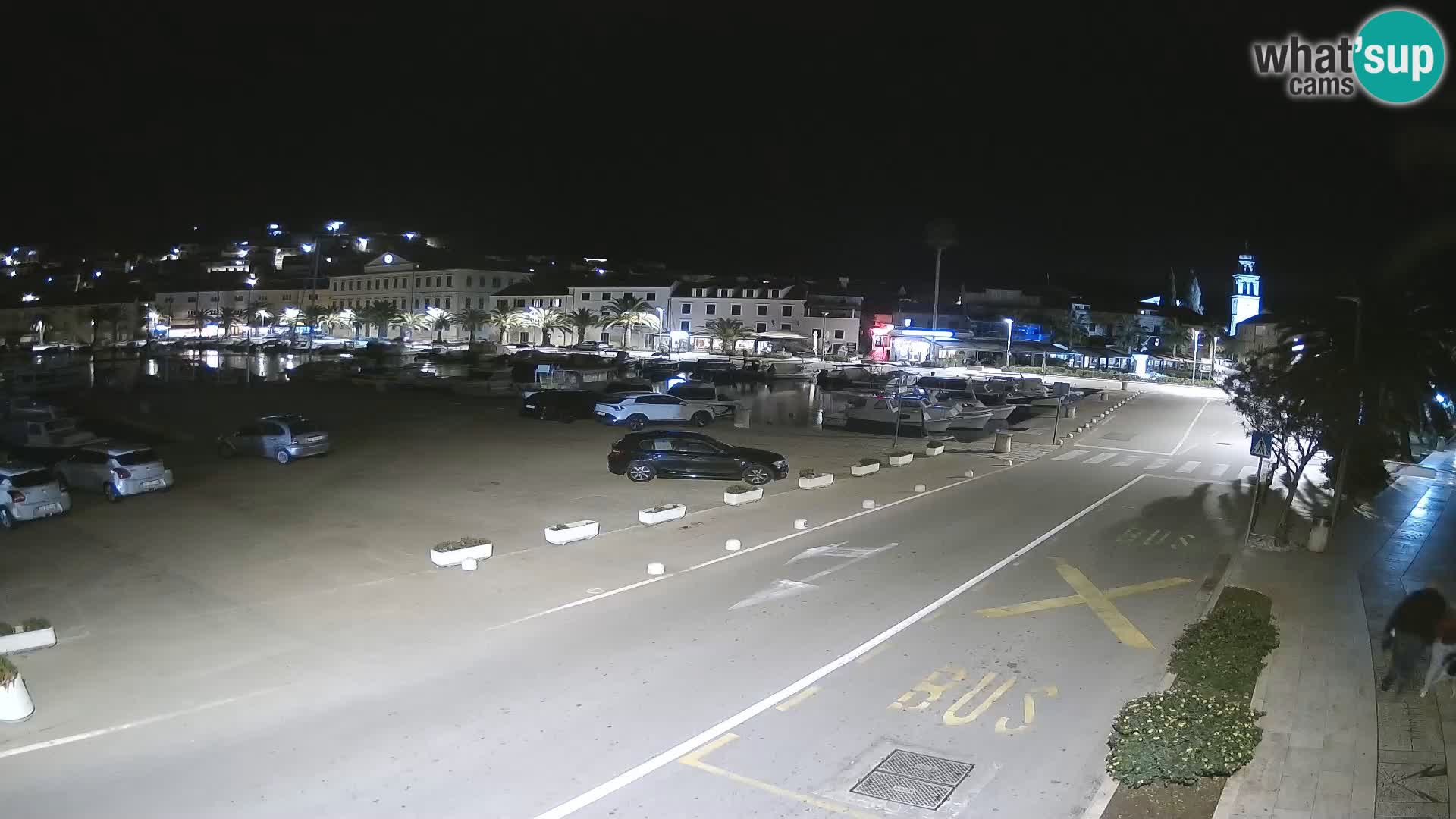 Vela Luka – Korčula