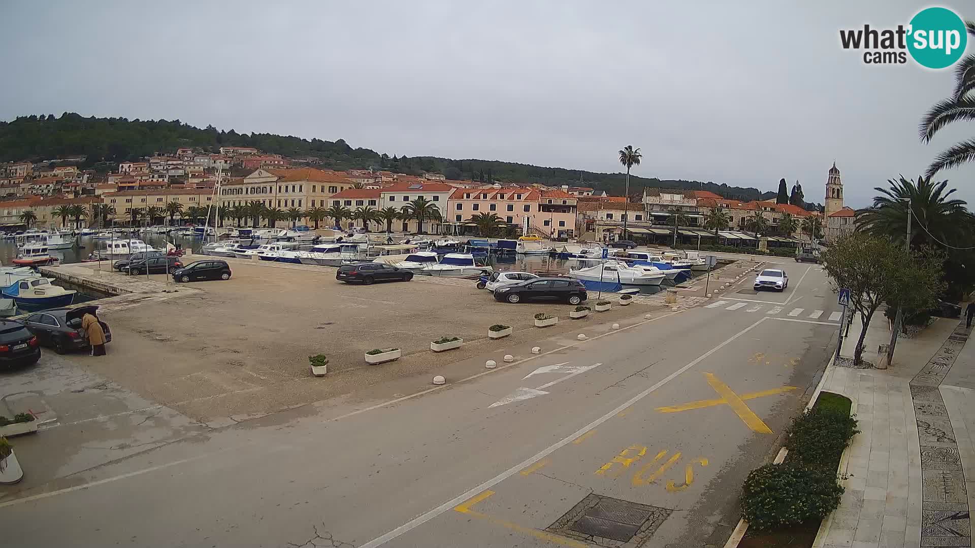 Vela Luka – Korčula