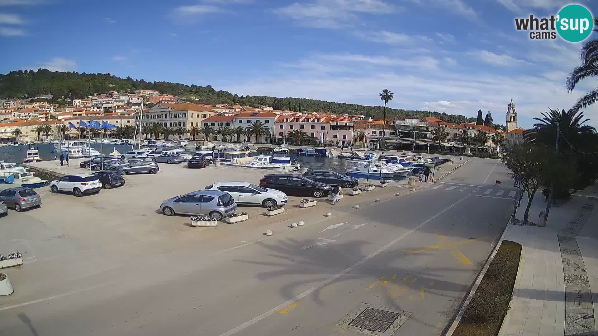 Vela Luka – Korčula