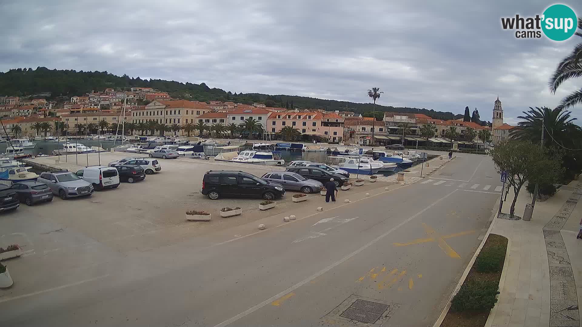 Vela Luka – Korčula