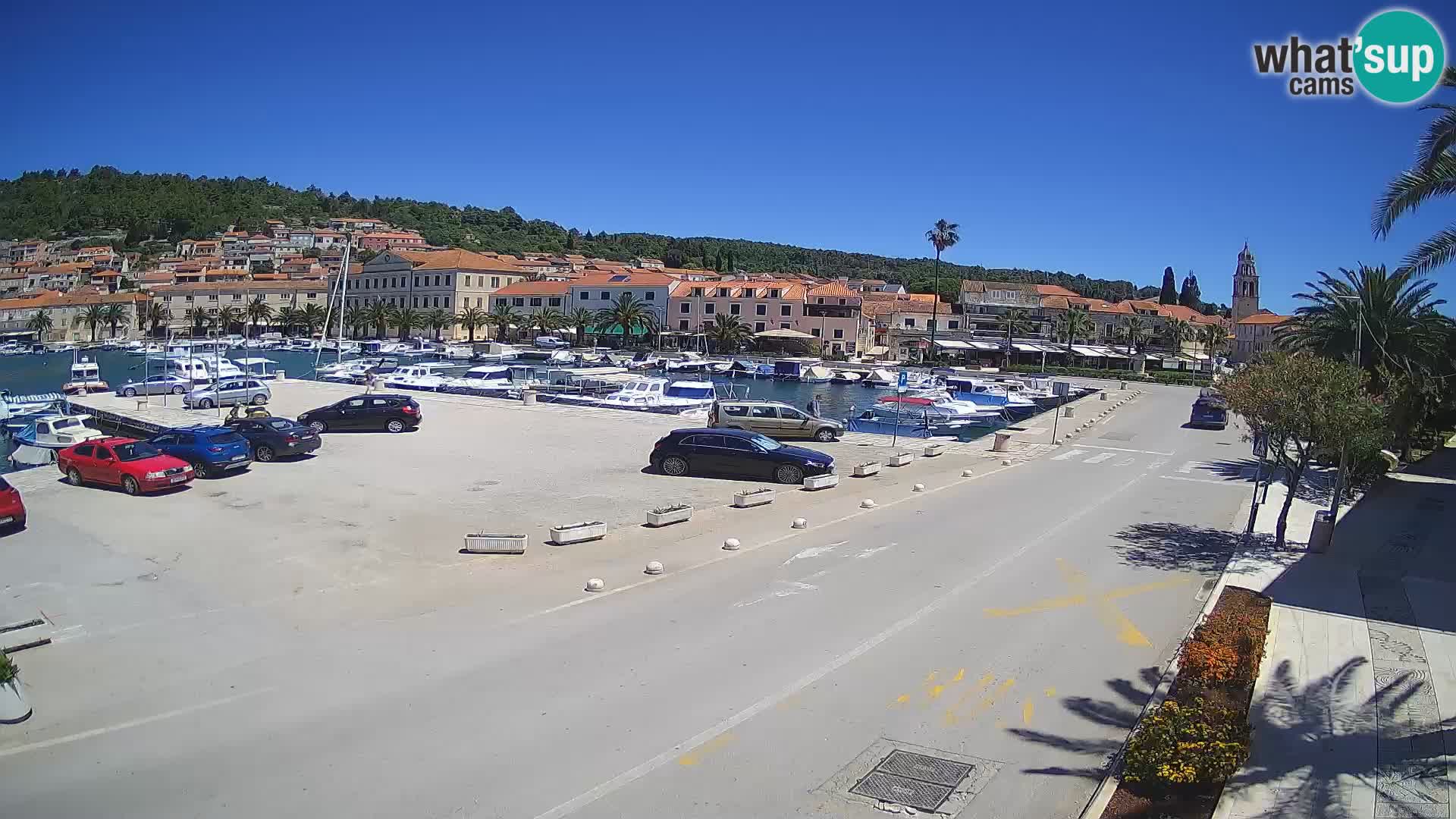 Vela Luka – Korčula