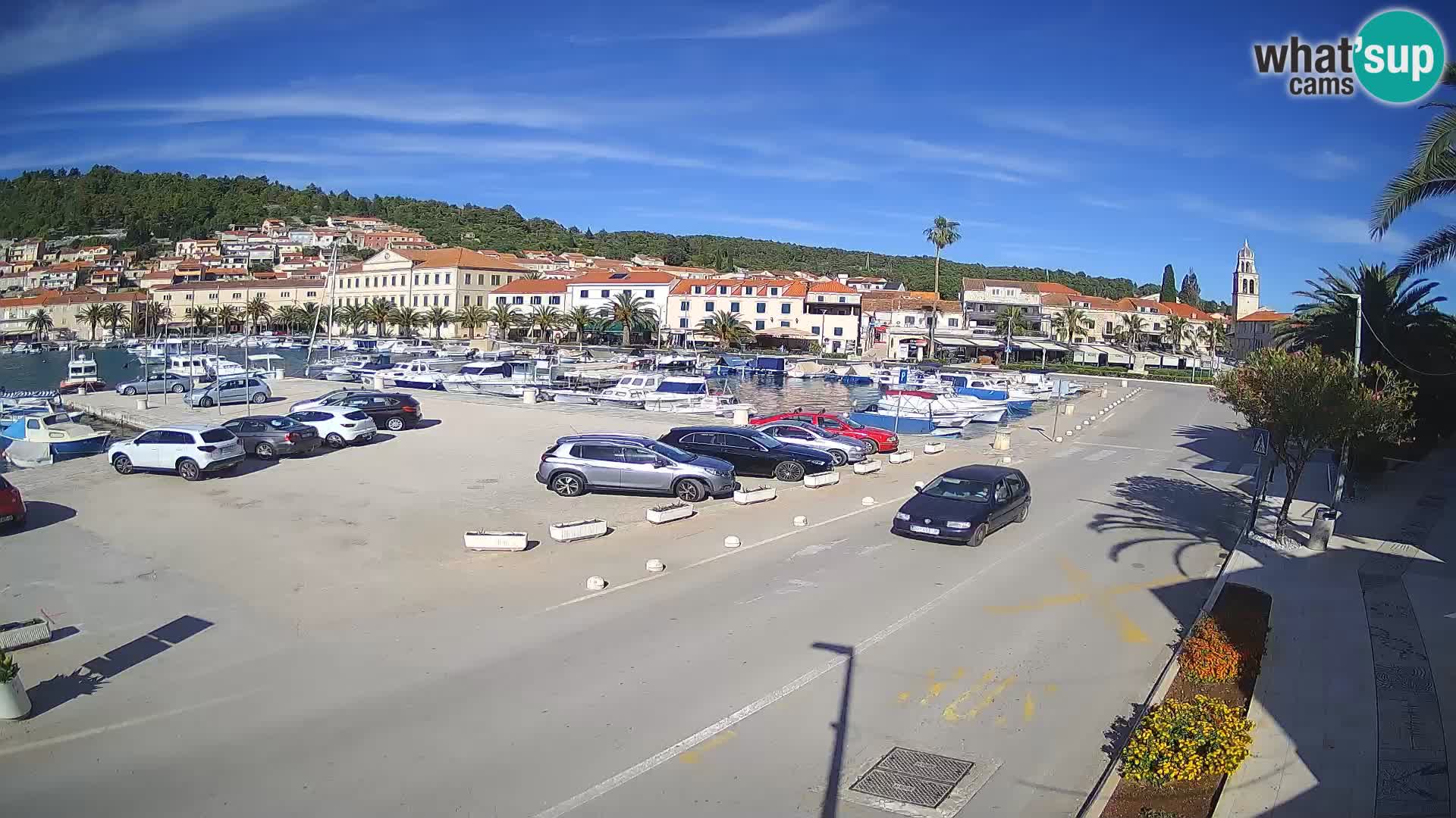 Vela Luka – Korčula
