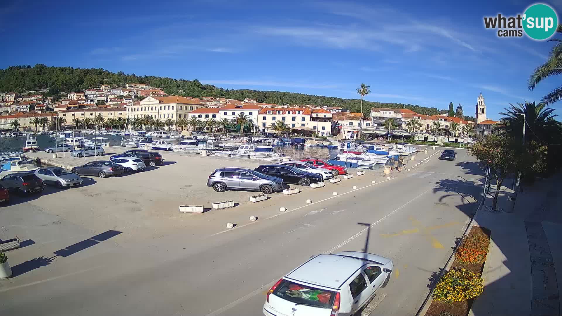 Vela Luka – Korčula