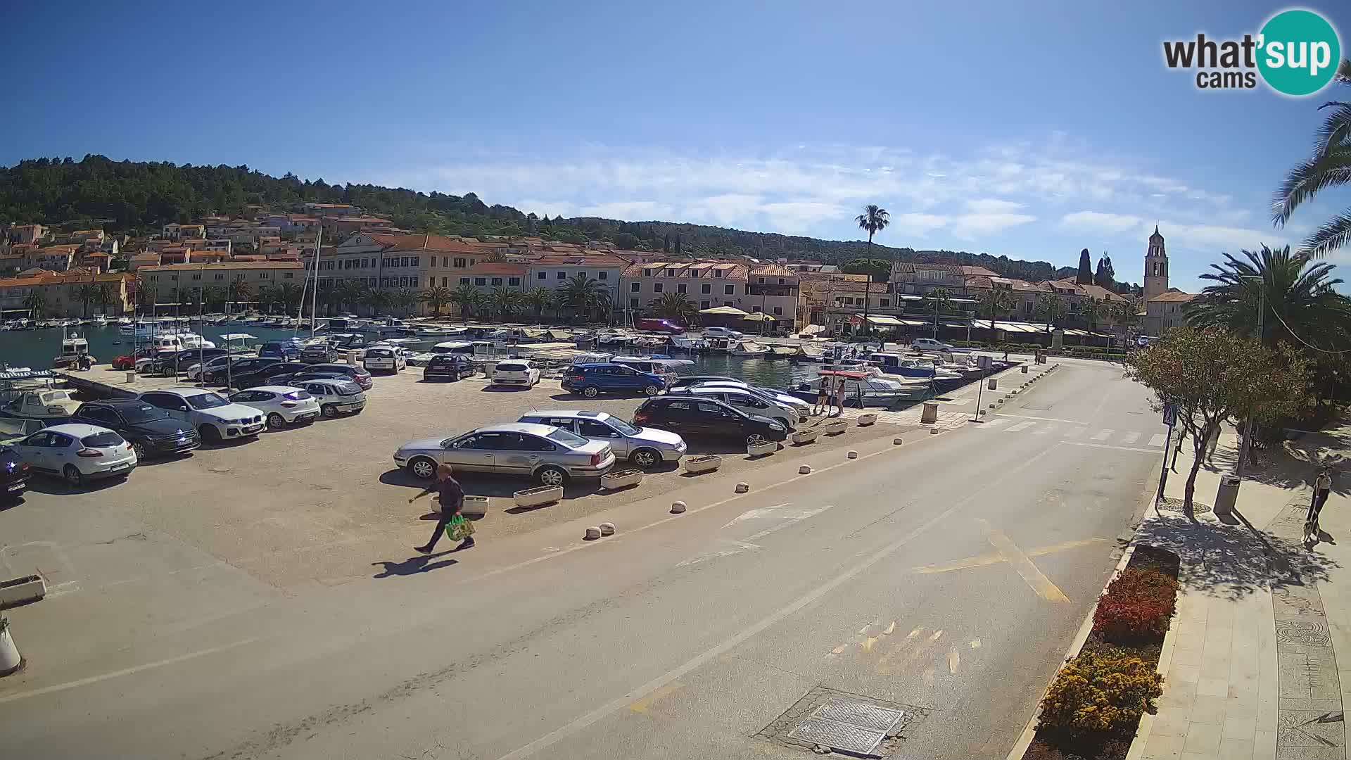 Vela Luka – Korčula