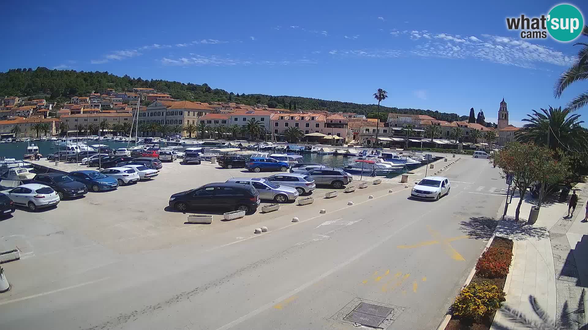 Vela Luka – Korčula