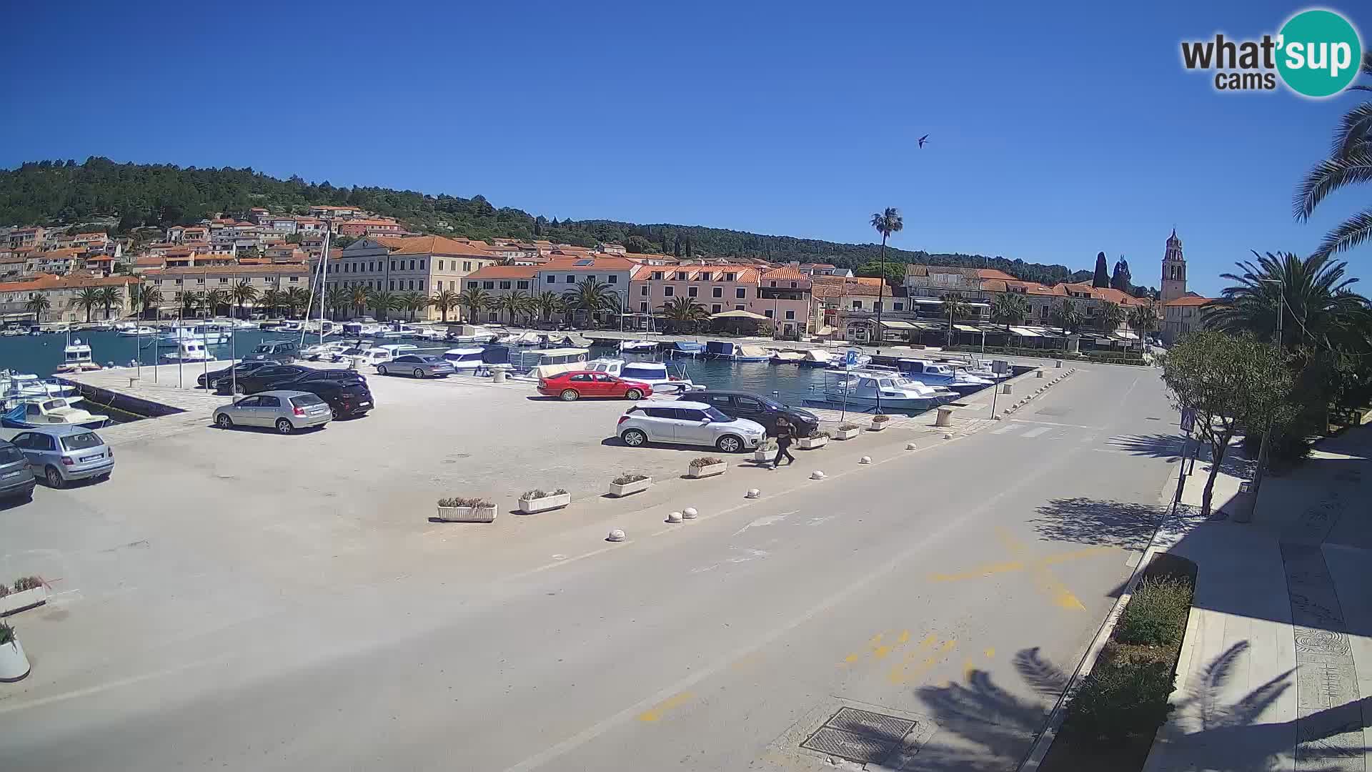 Webkamera - Vela Luka (Korčula)