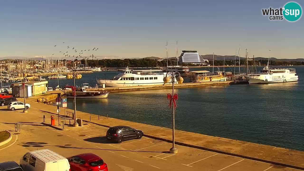 Vodice spletna kamera – marina in riva