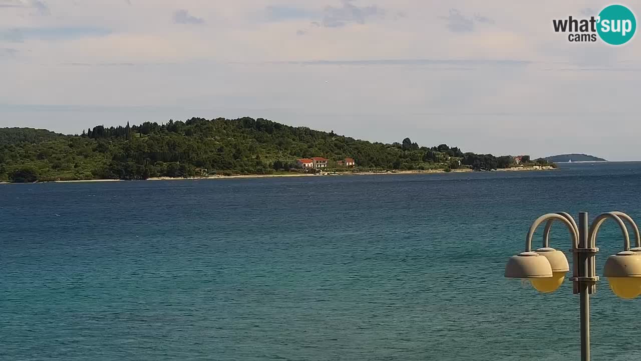 Vodice spletna kamera – marina in riva