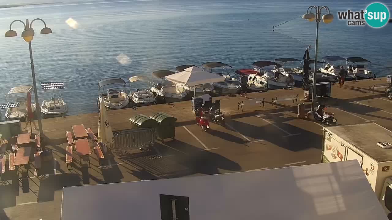 Vodice spletna kamera – marina in riva