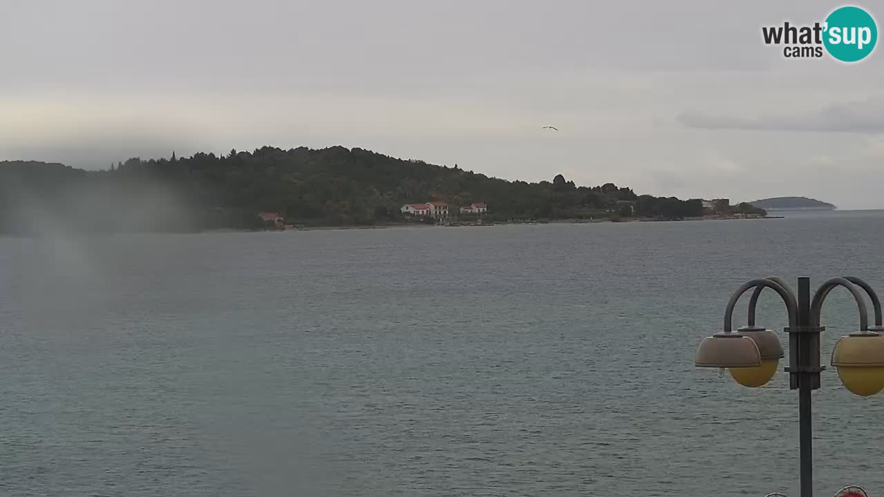 Vodice spletna kamera – marina in riva