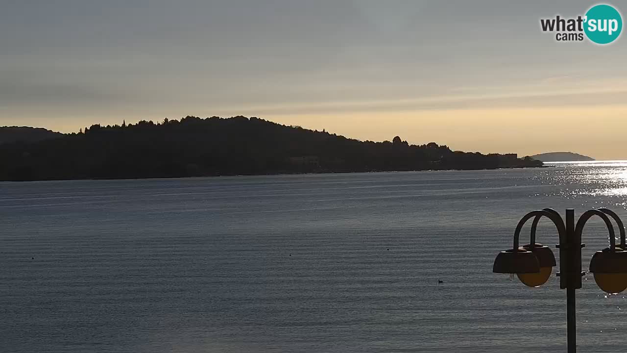 Vodice web kamera – marina i riva