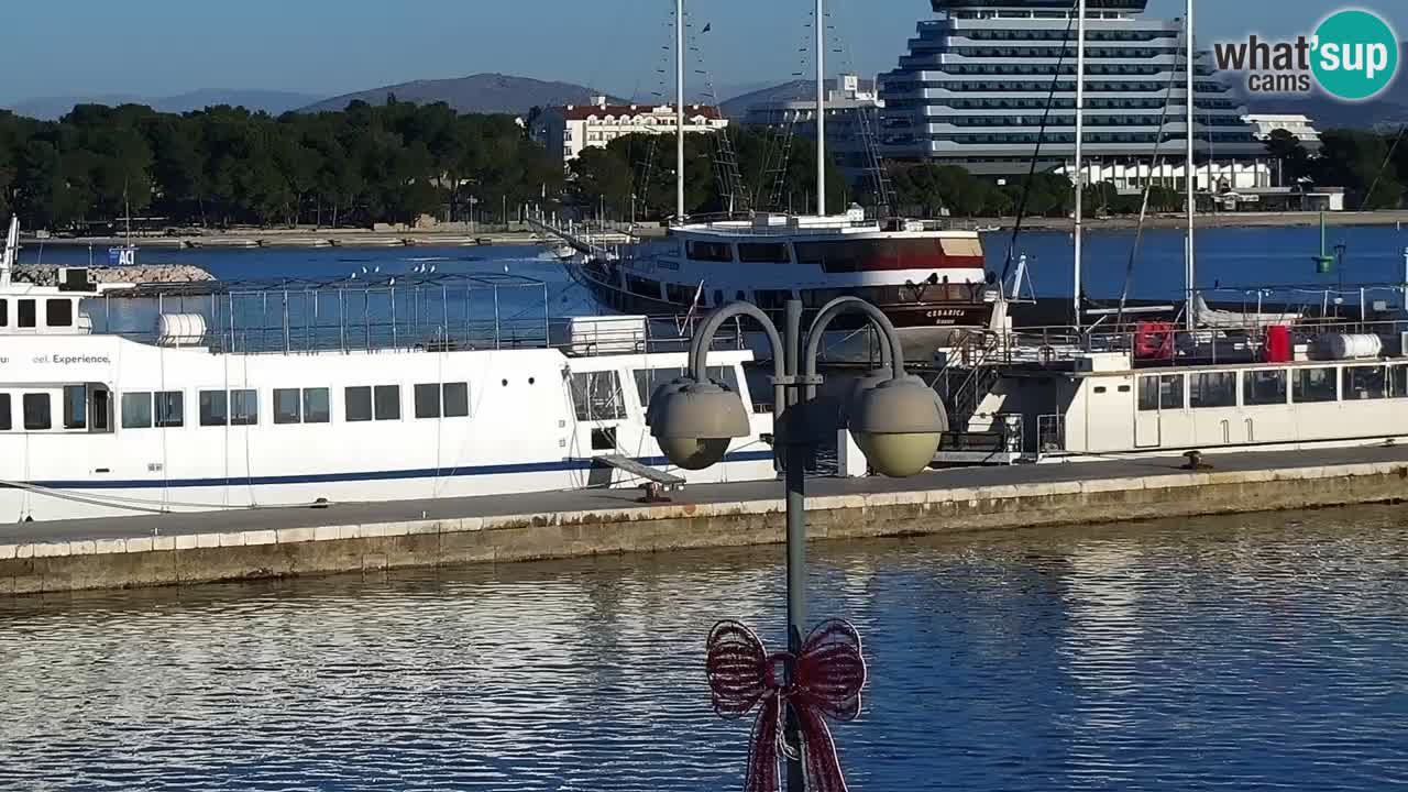 Vodice Live webcam – marina and seafront