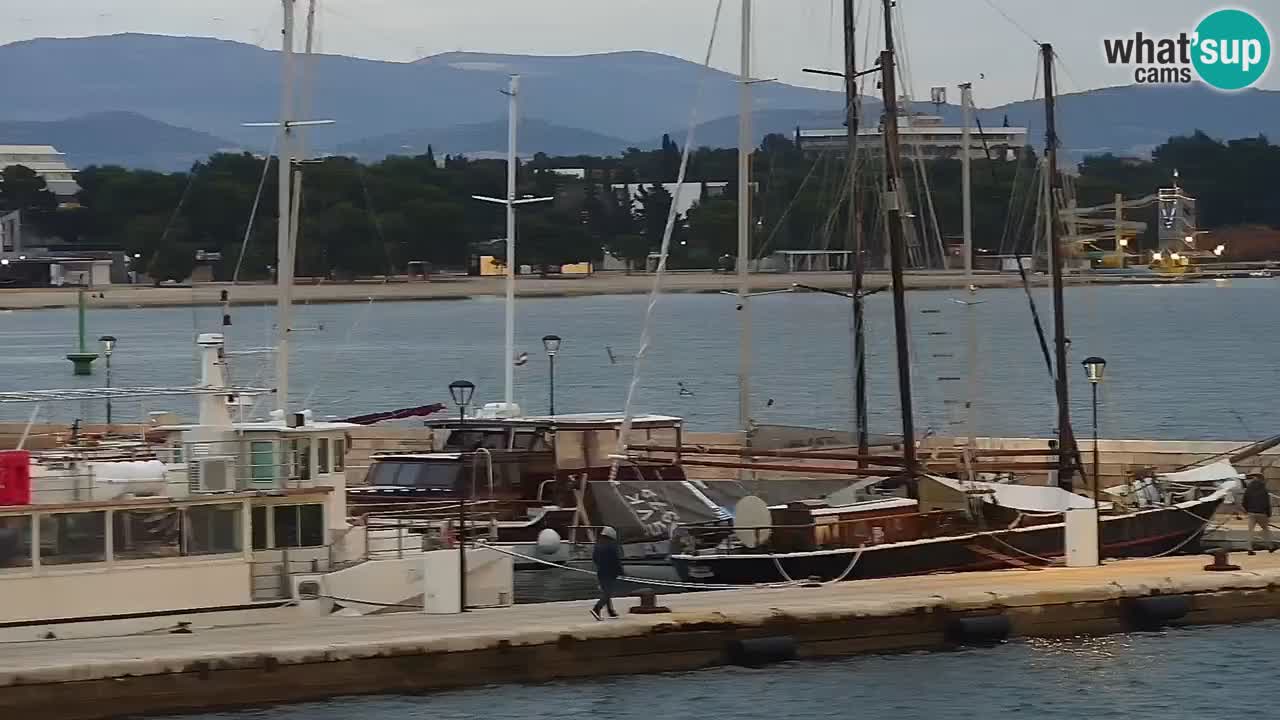 Vodice spletna kamera – marina in riva