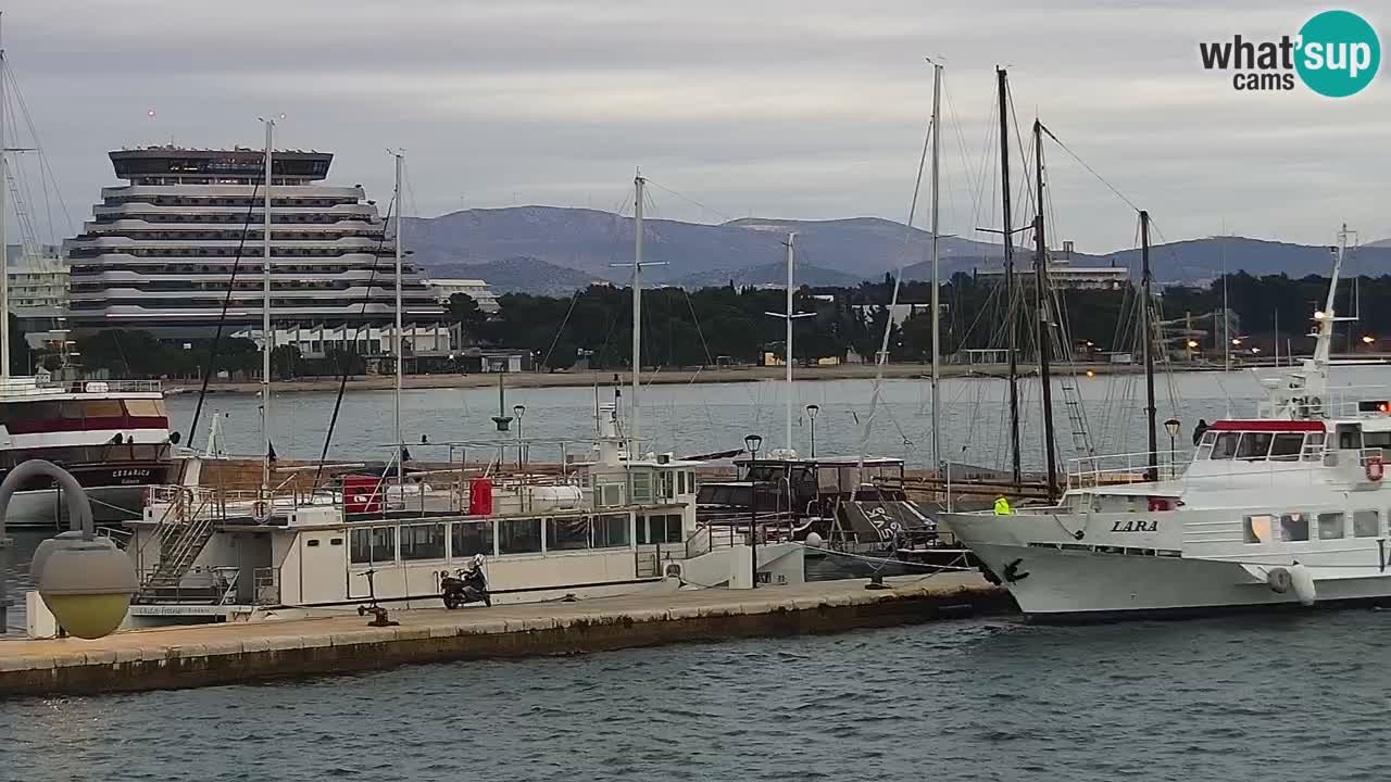 Vodice spletna kamera – marina in riva