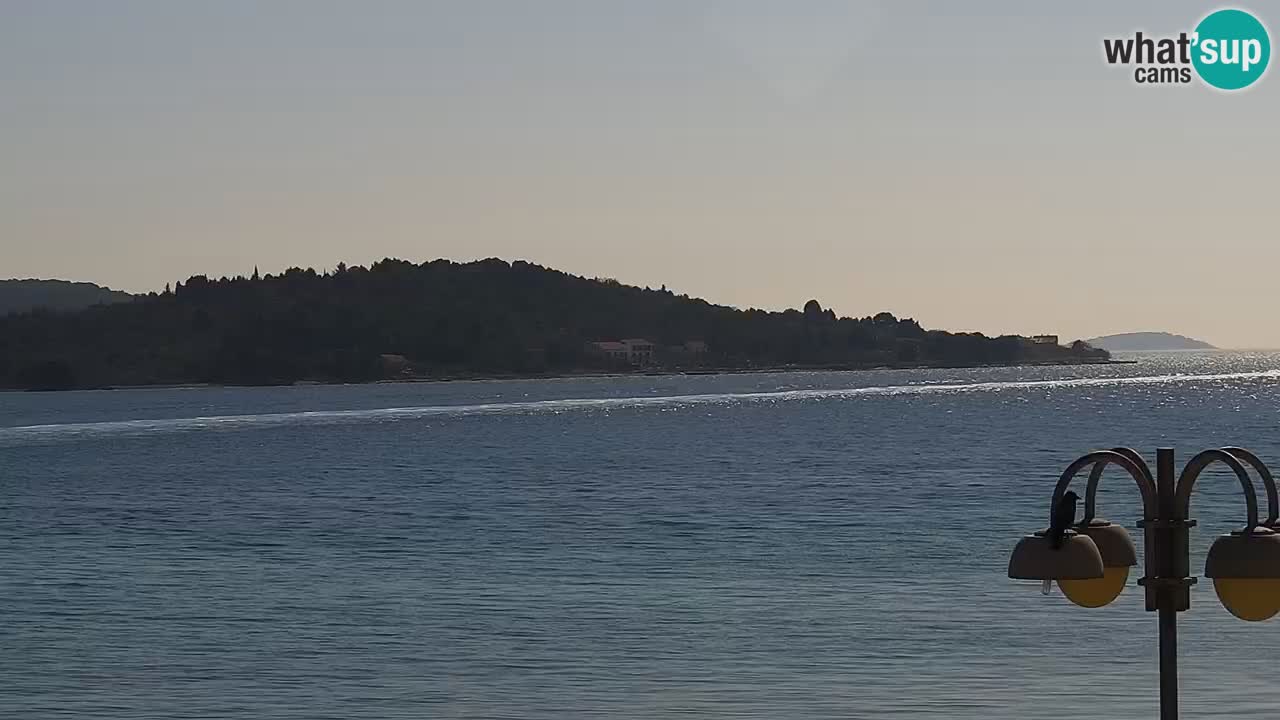 Vodice web kamera – marina i riva