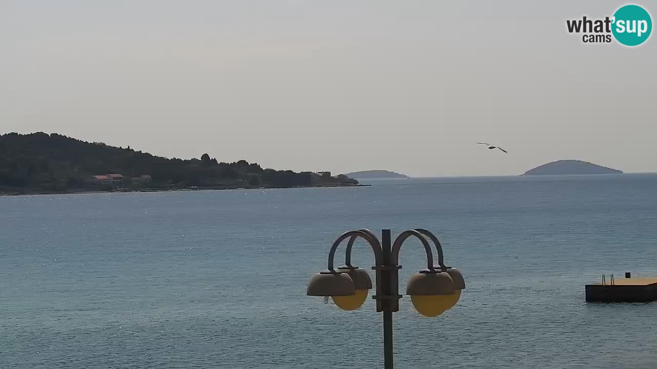 Vodice camera en vivo – marina paseo marítimo