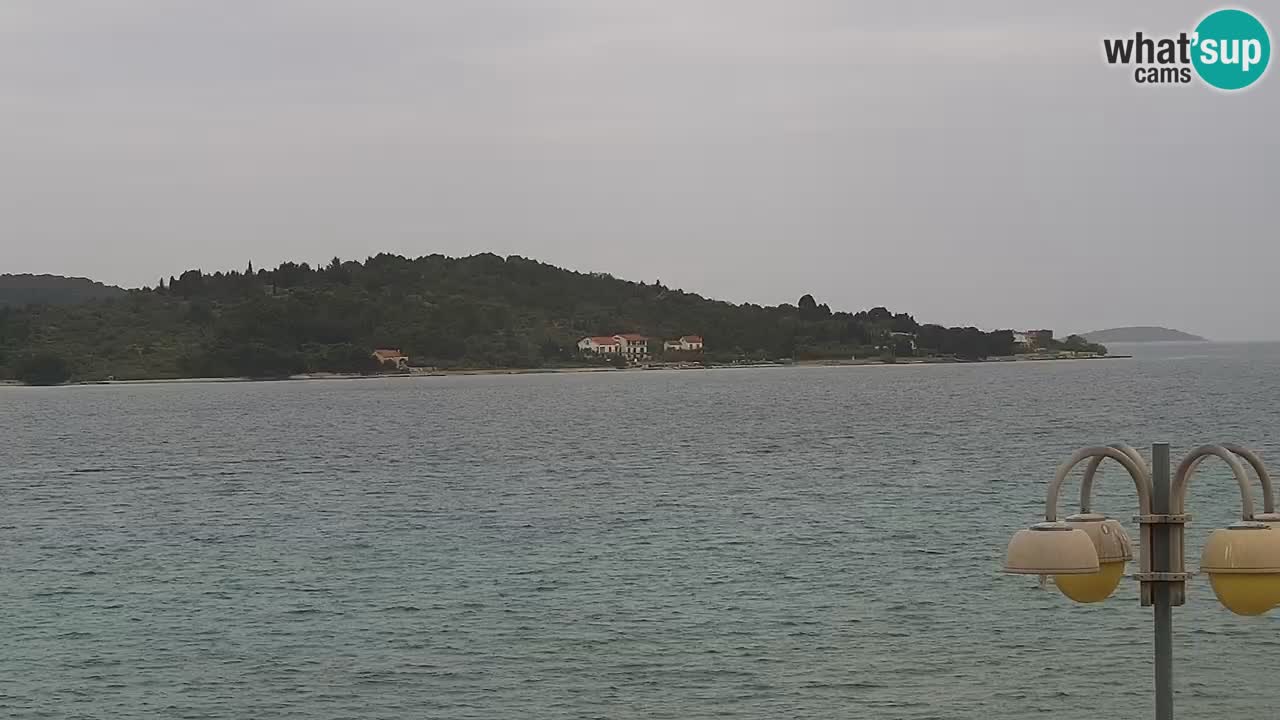 Vodice spletna kamera – marina in riva